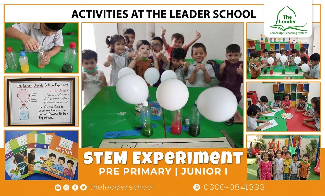 STEM Learning 1